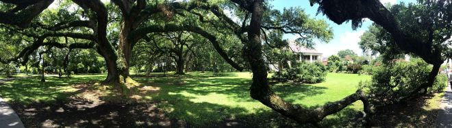 11312830_1598943600322505_5308573779523035223_o